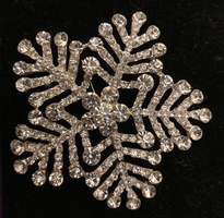 snowflake sparkling brooch
